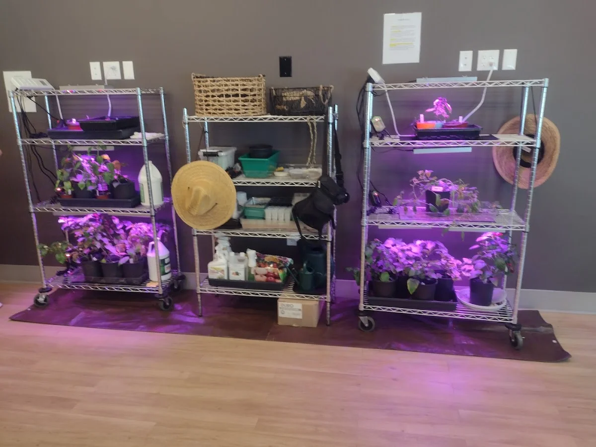 RANDALL FAMILY RESIDENCE