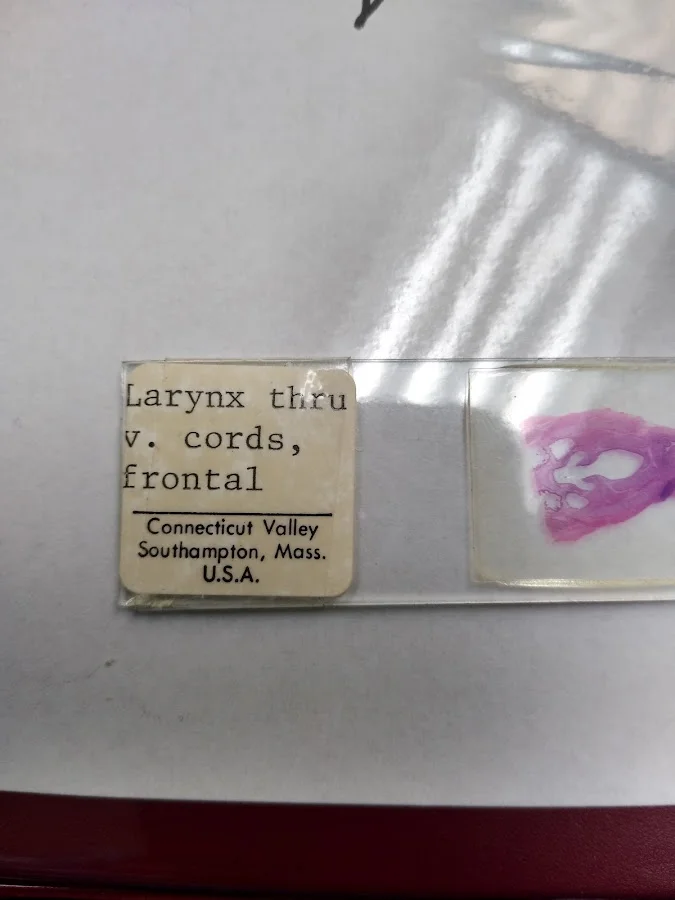 HOSTOS COMMUNITY COLLEGE CHILDREN'S CENTER