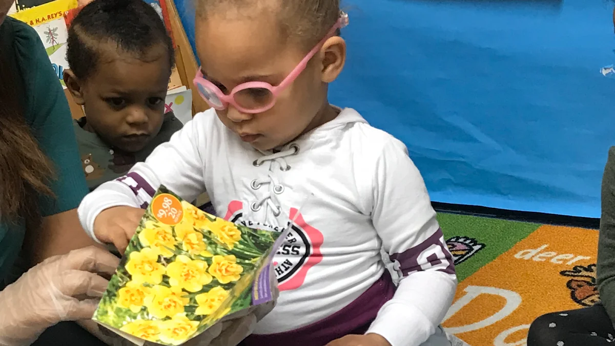 LITTLE STARS THREE, INC