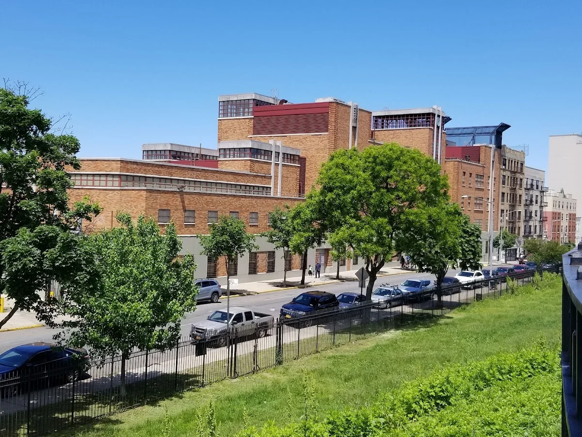 P.S. 023 THE NEW CHILDREN'S SCHOOL