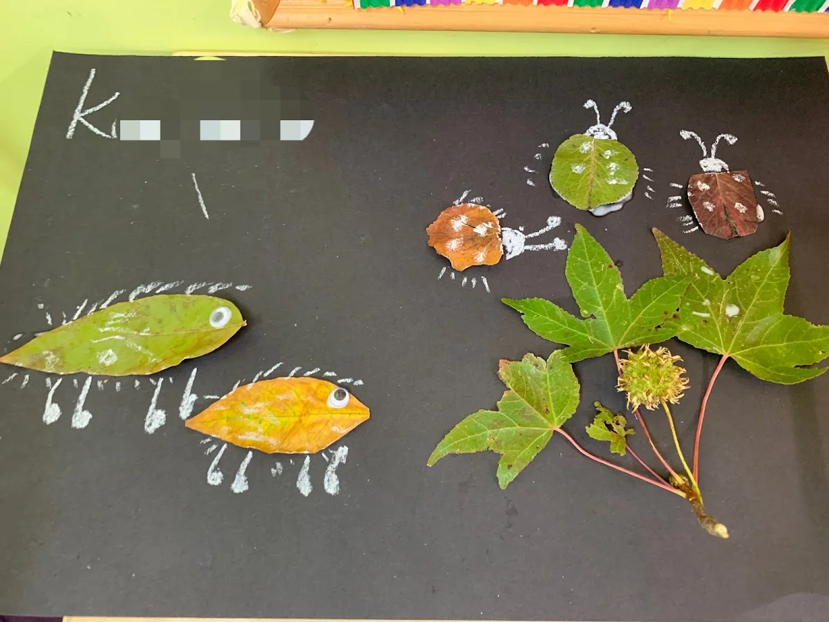 RAINBOW-FRESH MEADOWS