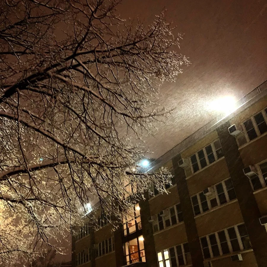 THE SOLOMON SCHECHTER SCHOOL