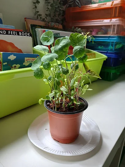 Nature & Nurture Family Daycare