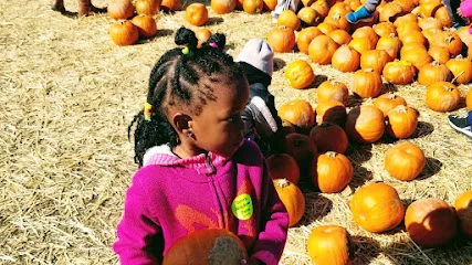 Nikki's Alphabet City Daycare